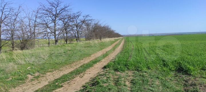 Участок 100 сот. (СНТ, ДНП)