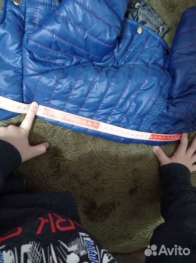 Одежда для средних собак