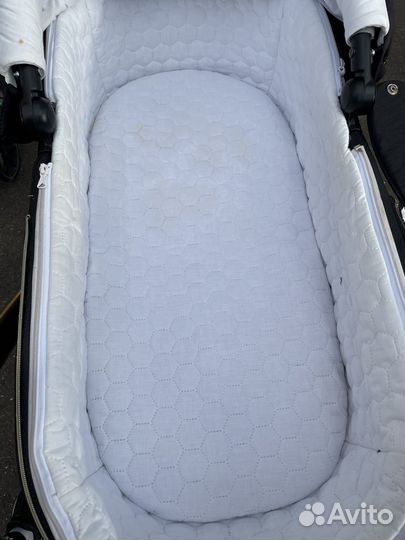 Коляска 2 в 1 adamex