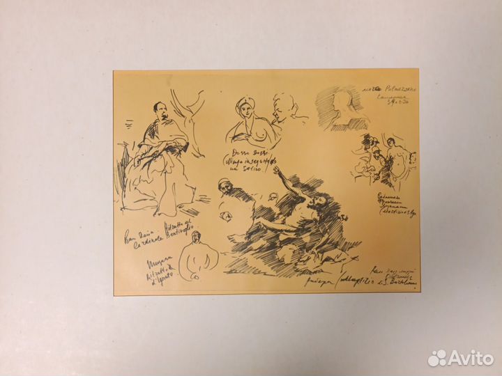 Картина, Овечкин Н