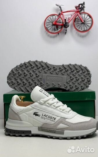 Кроссовки Lacoste универсальные