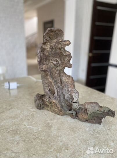 Коряга в аквариум