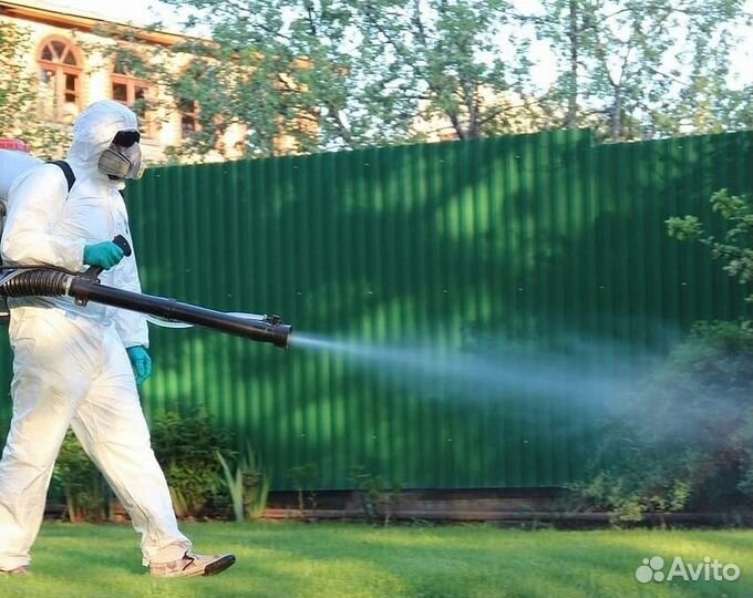 Уничтожим клопов тараканов клещей плесень запахи