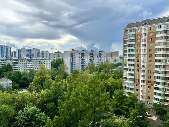 3-к. квартира, 79,5 м², 10/17 эт.