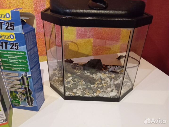 Аквариум с содержимым