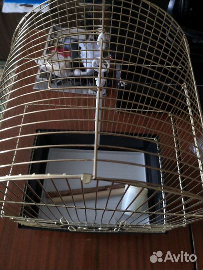 Клетка для птицы