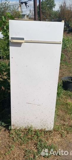 Холодильник бирюса