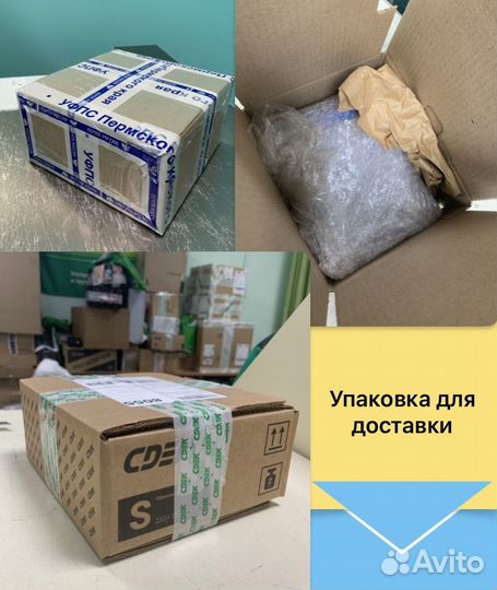 Alan Wake Remastered PS4