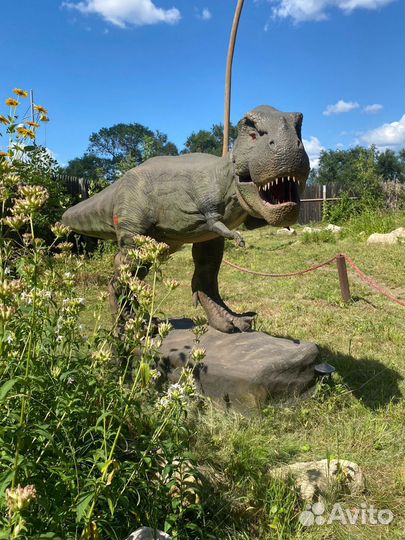Парк динозавров (Дино парк)
