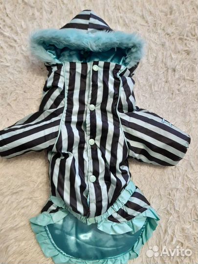 Одежда для собаки