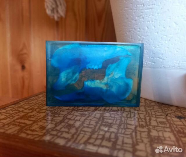 Куб челюсть кролика