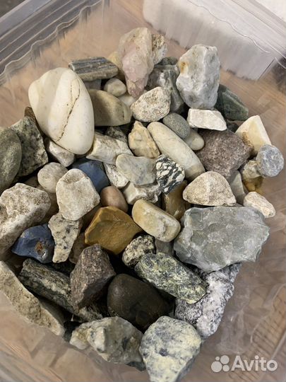 Набор для создания флорариума