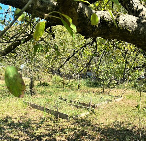 Участок 12 сот. (ИЖС)