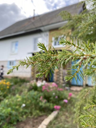 Дом 130 м² на участке 50 сот.