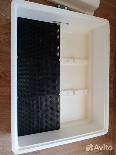 Инкубатор несушка