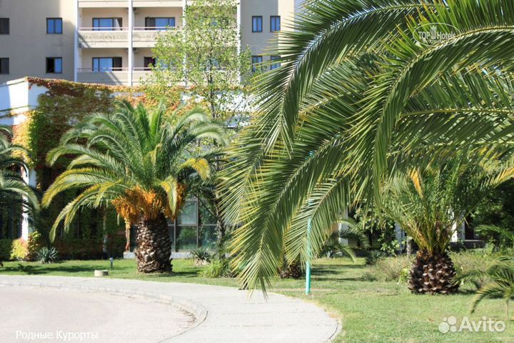 Санаторий Самшитовая Роща Абхазия г. Пицунда