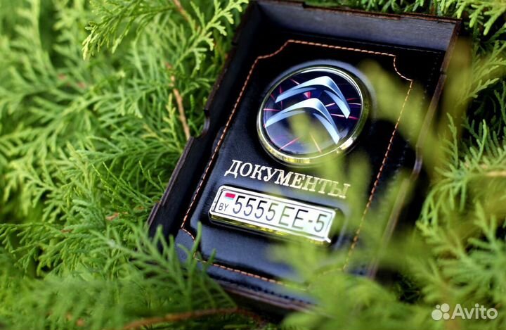 Обложка для автодокументов с лого и номером