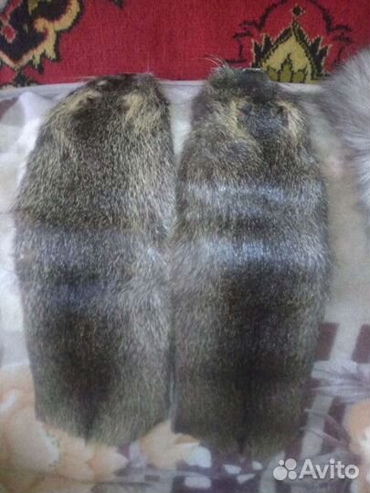 Шкурка животного