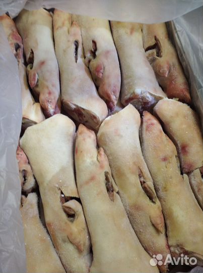 Ноги свиные оптом