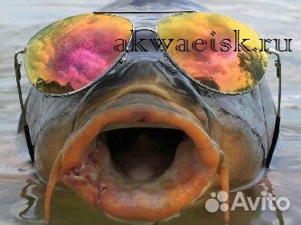 Свежая рыба