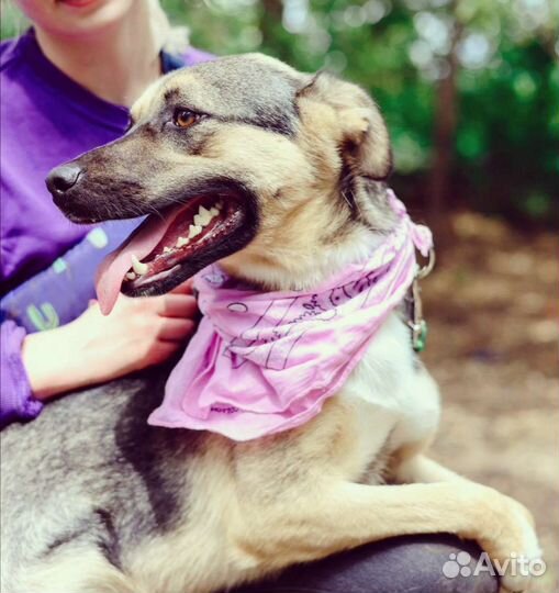 Милая Асоль ищет дом