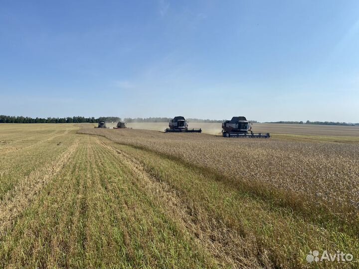 Уборка урожая подсолнечника, сои, лен.2023