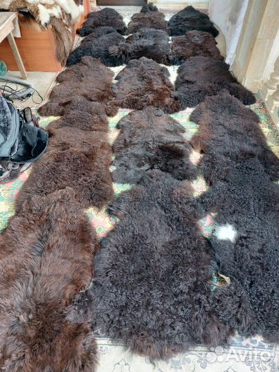Шкурки овечьи оптом