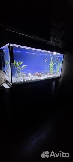 Аквариум