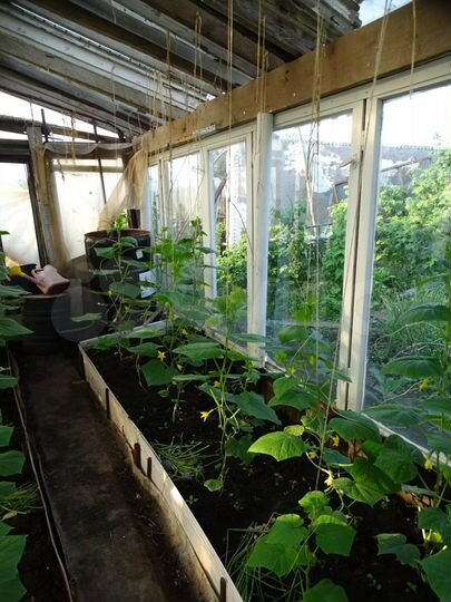 Участок 4,9 сот. (СНТ, ДНП)