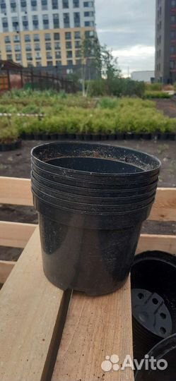 Горшки для рассады