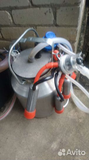 Доильный аппарат бу