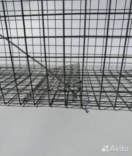 Ловушка для ласок,хорьков,котов