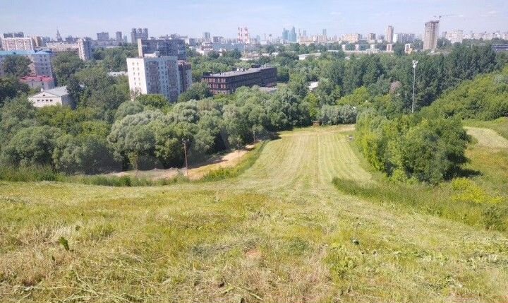 Участок 1,96 га (ИЖС)