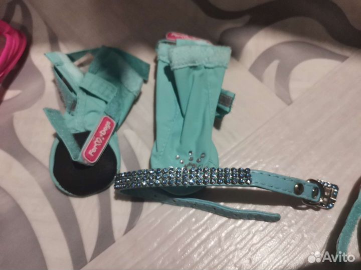 Обувь для собак