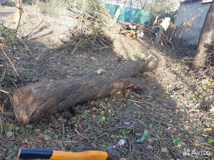 Отдам дрова бесплатно самовывоз