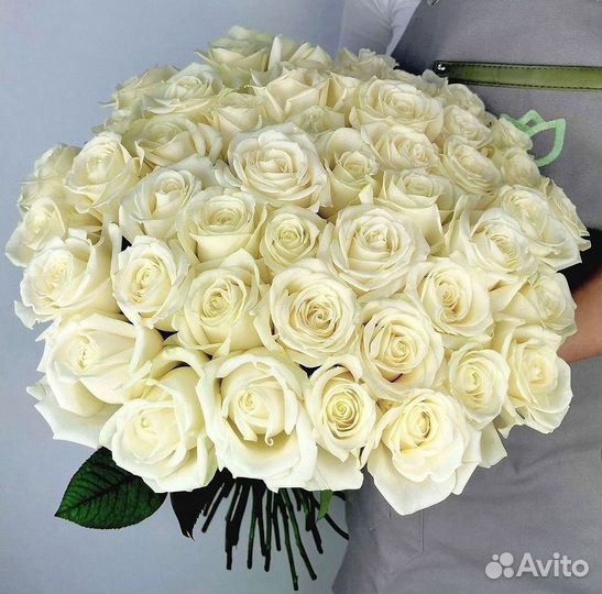 51 Роза, Букеты Цветы Розы 25 101 501 1001