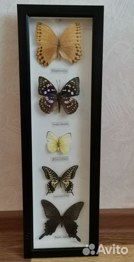 Подарочный набор Бабочки