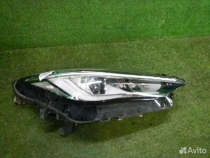 Фара правая Infiniti QX50