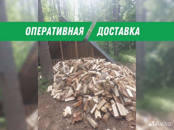 Дрова березовые