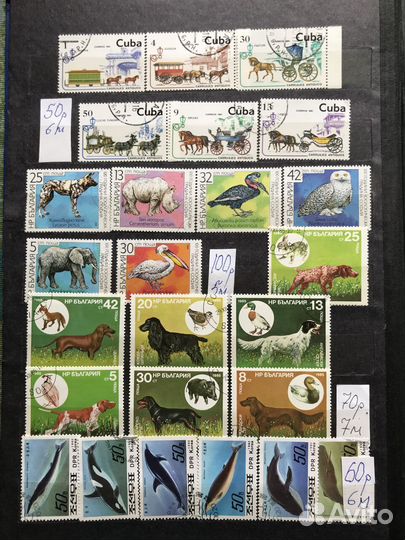 Марки фауна 4