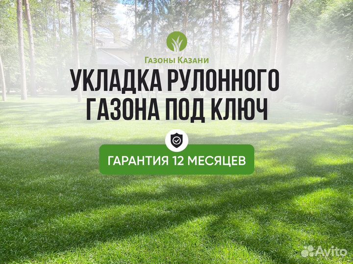 Укладка газона под ключ