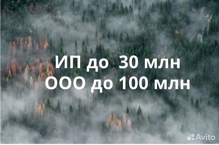 Помощь в получении кредита для ИП и ООО