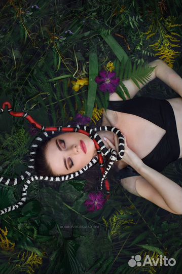 Аренда животных. Змеи, пауки для фото и видео