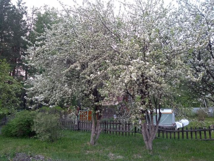 Дача 24 м² на участке 8 сот.