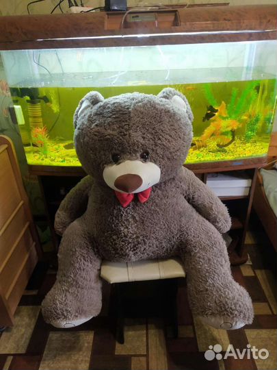 Большие плюшевые медведи