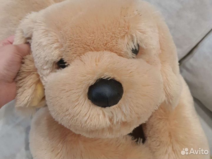 Собака игрушка