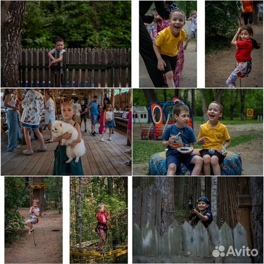 Фотограф и видеограф