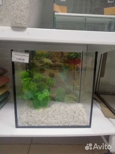 Аквариум