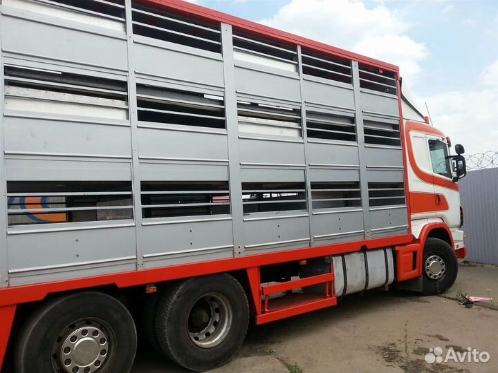 Перевозки скота с ферм