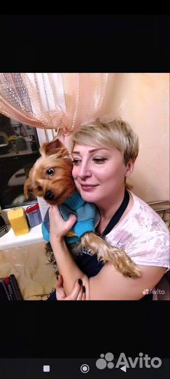 Оксана, грумер стрижка собак